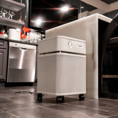 Austin Air HealthMate Standard Air Purifier, Sandstone - Advanced 4- Stage Filtration Air Purifiers For Home with Activated Carbon & Zeolite - Ideal as Air Purifiers for Bedroom, Model B400