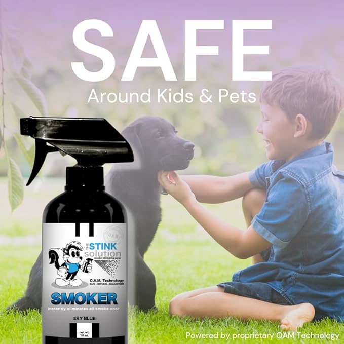 The Stink Solution Smoke Odor Eliminator Spray - Completely Remove Smoke Smell From House, Car, Clothes, Hands, Hair, & More - Best Odor Eliminator For Smoke - Sky Blue Fragrance - 2 16 oz Bottles