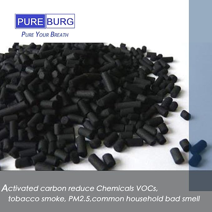 PUREBURG Replacement Filters Compatible with Sensibo Pure Air Purifier, 2-Pack H13 HEPA Activated Carbon 2-IN-1 4-Stage Filtratio Air Clean