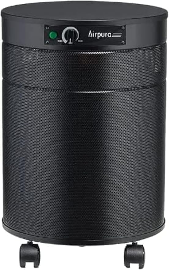 Airpura R600 the everyday air purifier,this air purifier has been proven to eliminate a wide range of airborne particles and odors leaving only clean and fresh air