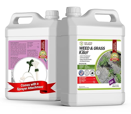 ECO Garden PRO - Organic Vinegar Weed Killer | Kid Safe Pet Safe | Clover Killer for Lawns | Moss Killer | Green Grass & Poison Ivy Killer | Spray Ready Glyphosate Free Herbicide (1 Gal with Sprayer)