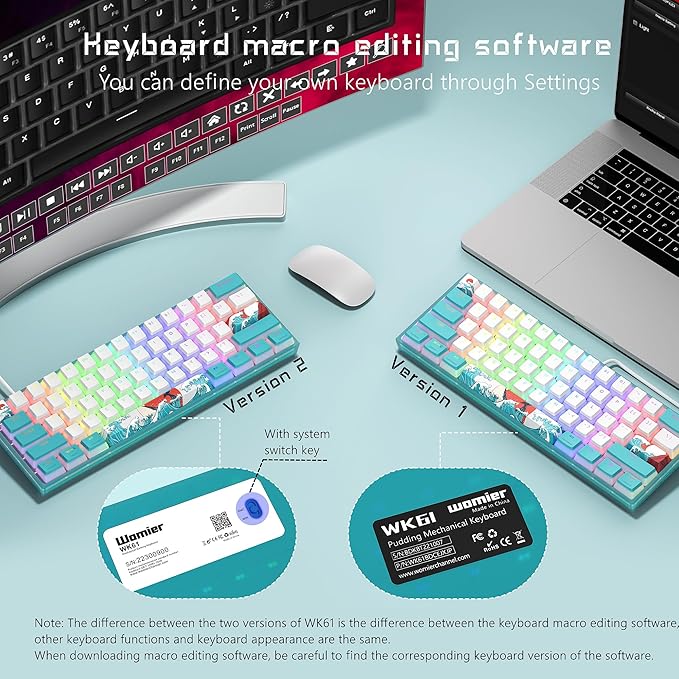 Womier 60% Percent Keyboard,WK61 V2 Mechanical RGB Wired Gaming Keyboard,Hot-Swappable Creamy Key Board with PBT Keycaps,Linear Red Switch for Windows/MAC (Blue)