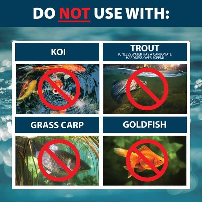 Airmax Algae Defense, EPA Registered Algaecide Pond & Lake Water Treatment, Floating Moss, Green Slime Scum & Chara Killer, Outdoor Liquid Spray Copper Based Solution, 1 Gallon