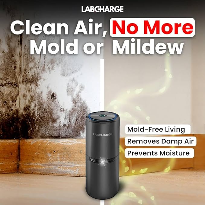 LabCharge Small Ionic Air Purifier for Home & Bedroom – Silent HEPA Filter – Covers 250 Sq Ft - Free Cleaner for Pets, Hair, Smoke, Dust, Odors & Dander – Compact & Black Design - Pack of 2