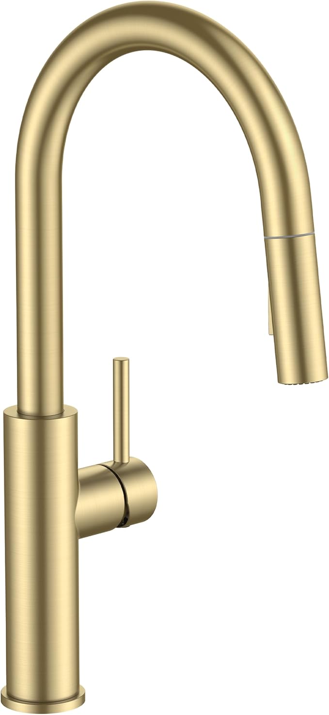 FORIOUS Kitchen Faucet with Pull Down Sprayer, Classic Brushed Gold, Single Handle High Arc Stainless Steel Kitchen Sink Faucet, 1 or 3 Hole Deck Mount for RV, Bar, Farmhouse, Laundry, Outdoor