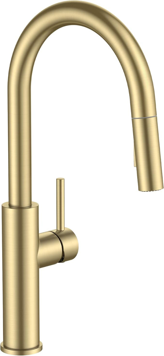 FORIOUS Kitchen Faucet with Pull Down Sprayer, Classic Brushed Gold, Single Handle High Arc Stainless Steel Kitchen Sink Faucet, 1 or 3 Hole Deck Mount for RV, Bar, Farmhouse, Laundry, Outdoor