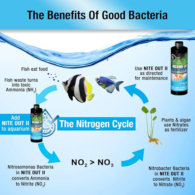 MICROBE-LIFT Nite-Out II Aquarium Bacteria for Start-up, Instantly Cycle Aquariums, Add Fish on Day 1, Rapid Ammonia and Nitrite Reducer for Freshwater & Saltwater Fish Tank, 8 Ounces (NITEH08)