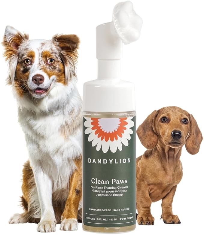 Dandylion Daily Paw Care Kit – No‑Rinse Paw Cleaner + Hydrating Paw Lotion with Brush – Gentle, pH‑Balanced, Fragrance‑Free, Plant‑Based