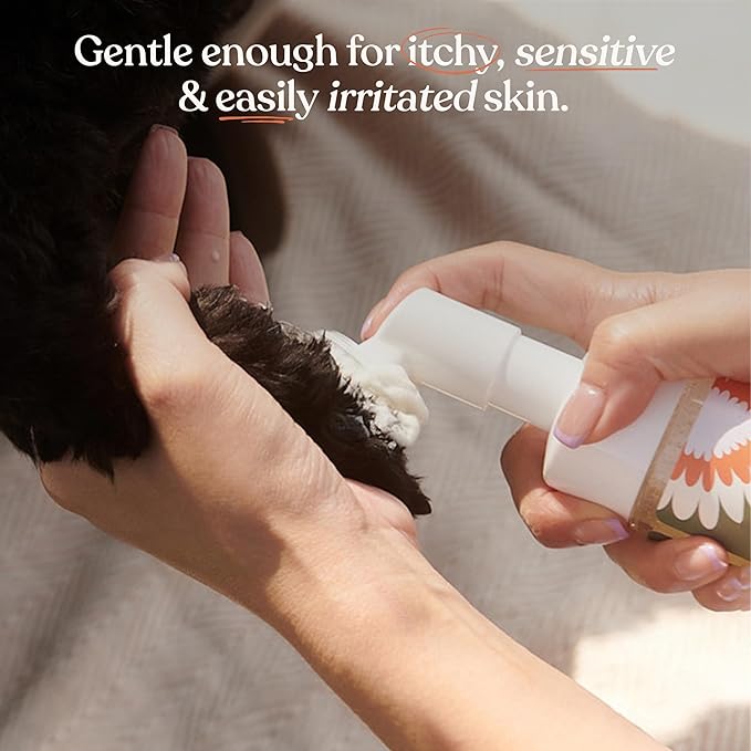 Dandylion Clean Paws | No-Rinse Dog Paw Cleaner & Dog Paw Washer | Gentle, Fragrance-Free, pH Balanced Foaming Cleanser with Silicone Bristle Brush | Safe for All Dogs | 5 fl oz