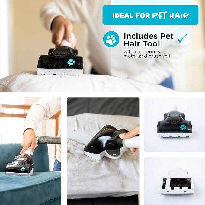 Simplicity Vacuums Pets Pro, Hard Floor and Carpet Vacuum Cleaners for Home Pet Hair, Upright, Bagless Lightweight, Powerful Suction in Homes with Dogs Plus Upholstery, Dust and Crevice Tools, SVPET