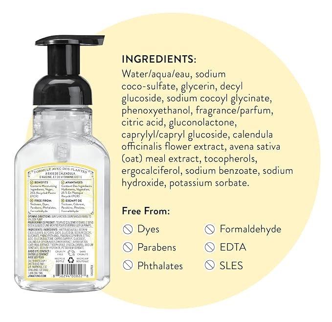 J.R. Watkins Foaming Hand Soap with Pump Dispenser, Moisturizing Foam Hand Wash, Alcohol-Free, Cruelty-Free, Citron, 9 fl oz, 3 Pack
