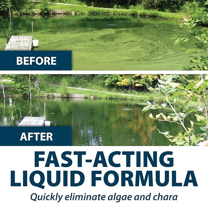 Airmax Algae Defense, EPA Registered Algaecide Pond & Lake Water Treatment, Floating Moss, Green Slime Scum & Chara Killer, Outdoor Liquid Spray Copper Based Solution, 1 Gallon
