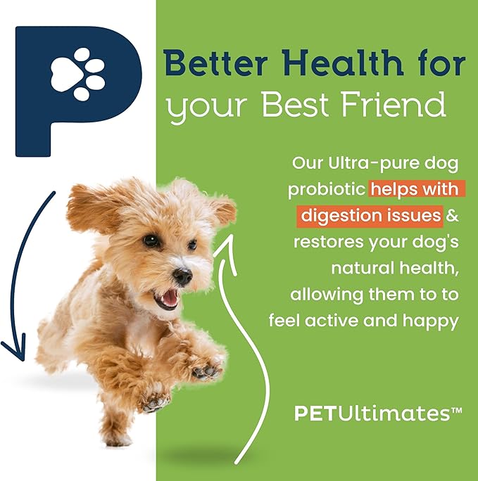 Pet Ultimates Probiotics for Dogs – 22-Species Dog Probiotics for Digestive Support & Antibiotics Recovery – Skin and Coat Supplement, Enhances Vitality – Dog Health Supplies (1 Pack)