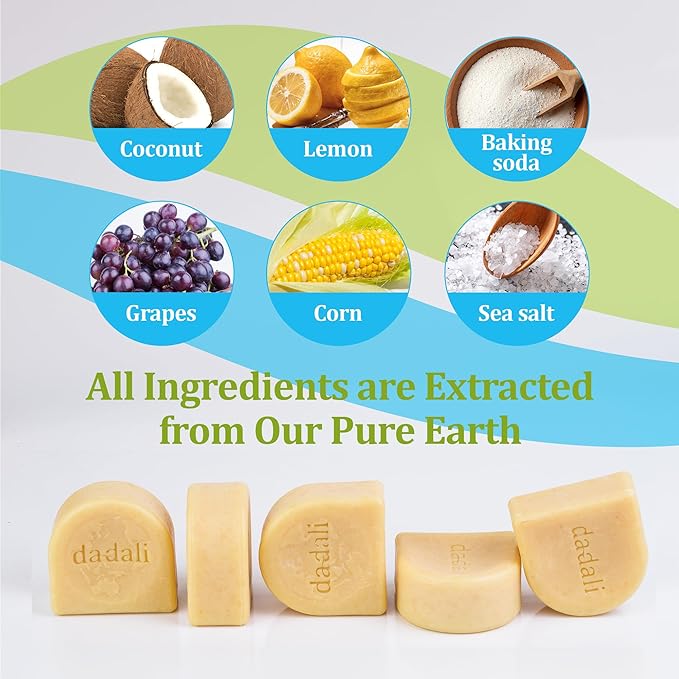 dadali Dish Soap Bar, Non-Toxic Solid Dish Soap | Vegan Plastic-Free Formula, Gentle on Hands, Long-Lasting Value Pack, 5 × 5oz (25oz)