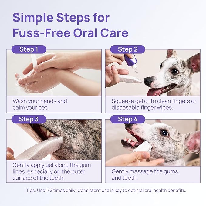 HICC PET Dental Gel for Dogs & Cats, No-Brush Teeth Cleaning Gel, Freshen Breath, Helps Reduce Plaque & Tartar, Supports Gum Comfort, Gentle Oral Care for Daily Use, 2 Fl Oz
