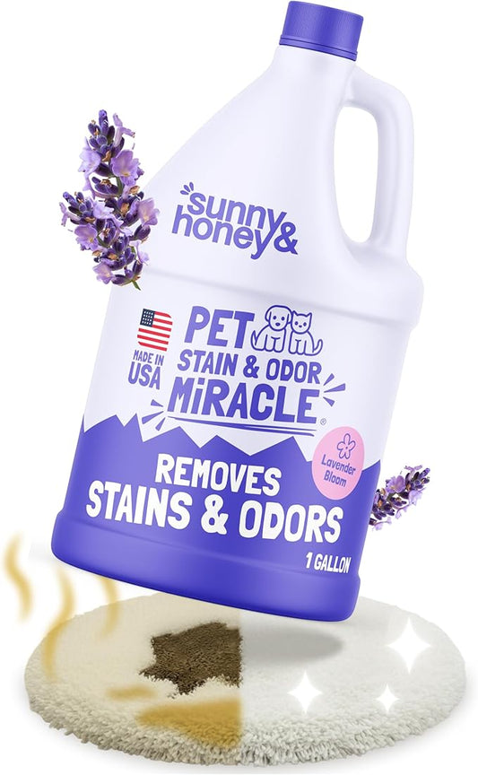 Sunny & Honey Pet Stain & Odor Miracle - Carpet Cleaner For New & Deep-set Messes - Enzyme Cleaner for Dog Urine & Cat Pee - Pet Stain Remover - Surface Odor Eliminator (128 fl oz, Light Lavender)
