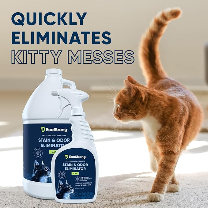 Eco Strong Cat Stain and Odor Remover| Enzyme Urine Odor Neutralizer - Stain Remover for Carpet, Litter Boxes, Bedding, and Laundry [160 Fl Oz Bundle]