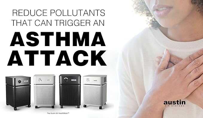 Austin Air HealthMate Standard Air Purifier, Black - Advanced 4- Stage Filtration Air Purifiers For Home with Activated Carbon & Zeolite, Model B400