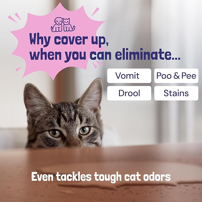 Sunny & Honey Pet Stain & Odor Miracle - Carpet Cleaner For New & Deep-set Messes - Enzyme Cleaner for Dog Urine & Cat Pee - Pet Stain Remover - Surface Odor Eliminator (128 fl oz, Light Lavender)