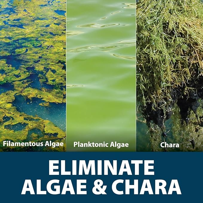 Airmax Algae Defense, EPA Registered Algaecide Pond & Lake Water Treatment, Floating Moss, Green Slime Scum & Chara Killer, Outdoor Liquid Spray Copper Based Solution, 1 Gallon