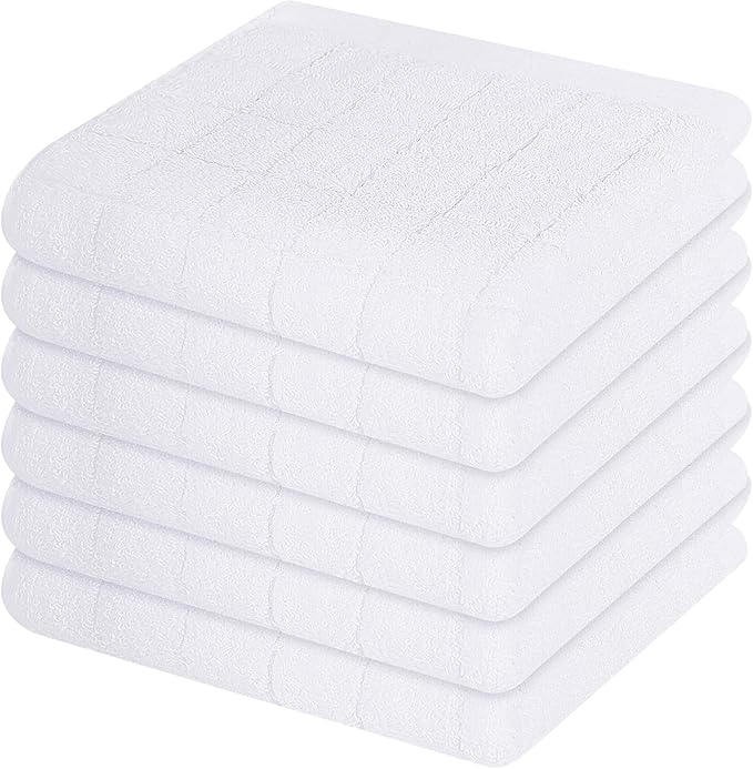Mordimy 100% Cotton Terry Cloth Dish Cloths, Soft and Absorbent Checkered Dish Towels, Quick Drying Dish Rags for Washing Dishes, 6 Pack, 12 x 12 Inches, White