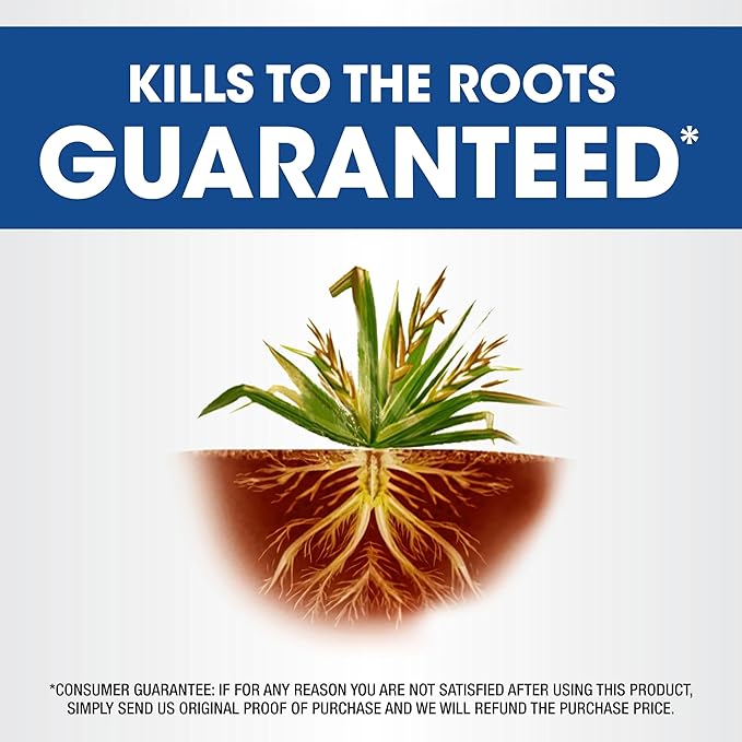 Roundup Weed & Grass Killer₄ Concentrate, Use in and Around Flower Beds, Walkways and Other Areas of Your Yard, 1 gal.