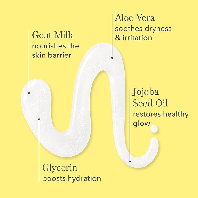 Beekman 1802 Goat Milk Hand Wash – Coconut Cream – Scented – 12.5 fl oz – Moisturizing & Gentle – Good for Sensitive Skin – Ready for Use, Pump Inserted