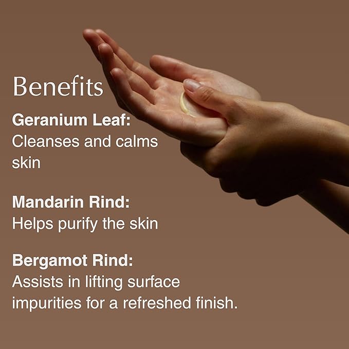 Aesop Geranium Leaf Body Cleanser & Balm Set | Citrus & Fresh Duo to Cleanse and Hydrate Skin | Geranium Leaf, Mandarin Rind, Bergamot Rind | 16.9 oz / 500mL (Set of 2)
