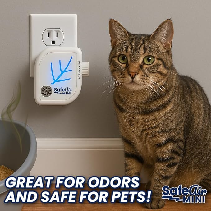 NEW Upgraded SafeAir® Mini Purifier | Ozone & Ionizer | Fresh Rain Smell | Covers 500 sq/ft | 8ft USB | Attacks Worst Pet Smells, Smoke, Mold | Filterless Tech | Home, Car, Office, Travel (2)