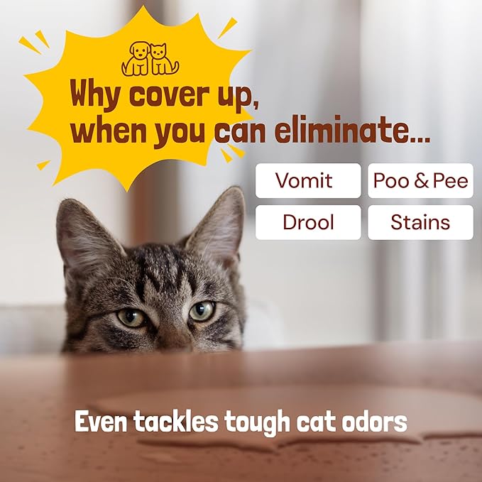 Sunny & Honey Pet Stain Remover - Enzyme Cleaner For New & Deep Set Stains - Carpet Deodorizer & Urine Odor Eliminator for Dog Pee, Cat Urine, Upholstery & Furniture (32 fl oz, Fall Spice)