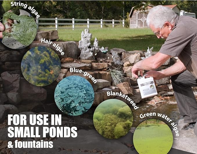 Bloom Buster Algae Control for Fish Ponds & Water Gardens - Gallon - Safe for Koi Fish, Goldfish & Plants - Controls Algae in Ponds & Water Features, EPA Registered