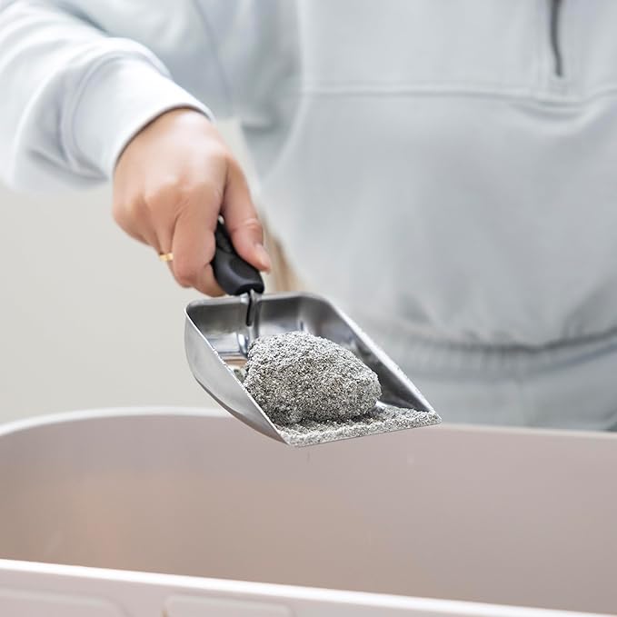 Fox Run Stainless Steel Cat Litter Scooper, 10" Litter Box Scooper with Long Handle
