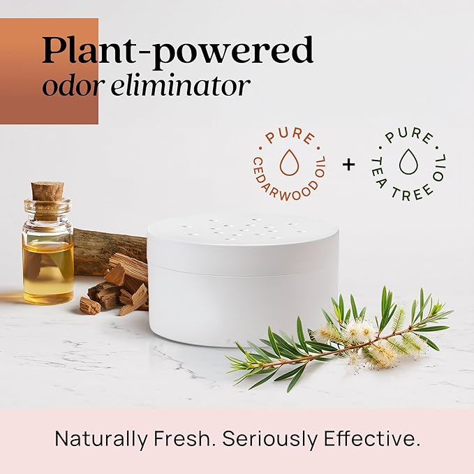 Azuna Pet Odor Eliminator for Strong Odor Gel | Plant Powered Australian Tea Tree Oil | Dog and Cat Room Deodorizer | Pet and Child Friendly | Cedarwood Scent | 8oz Pod
