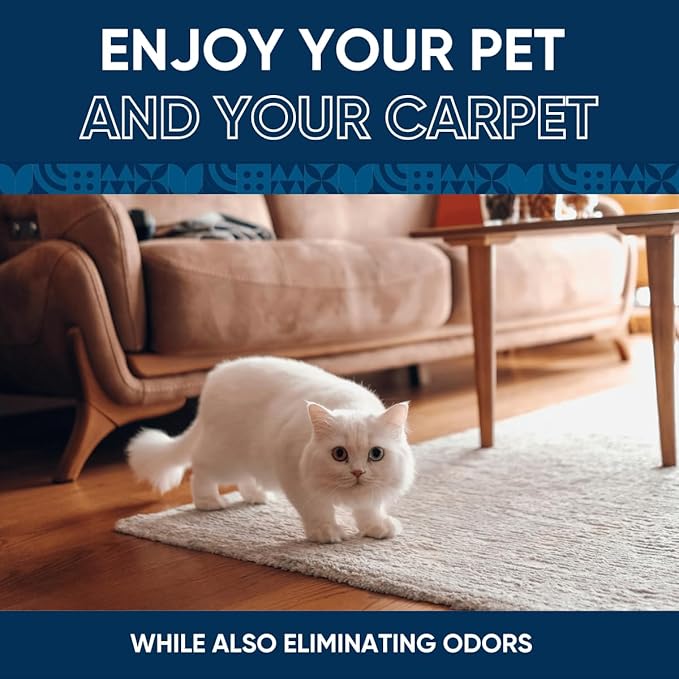 Oxy Pet Carpet Cleaner Spray | Pet Stain Remover for Pet Urine, Cat Pee, Dog Poop | Deep Spot Treating Action on Carpeting, Upholstery, Laundry, Pet Beds & More (160 Fl Oz)