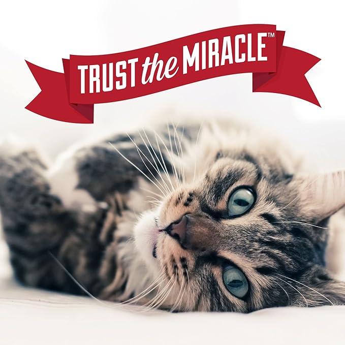 Nature's Miracle Urine Destroyer Plus for Cats, Unscented, Enzymatic Formula for Severe Cat Urine Stains, 1 Gal