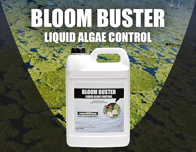 Bloom Buster Algae Control for Fish Ponds & Water Gardens - Gallon - Safe for Koi Fish, Goldfish & Plants - Controls Algae in Ponds & Water Features, EPA Registered