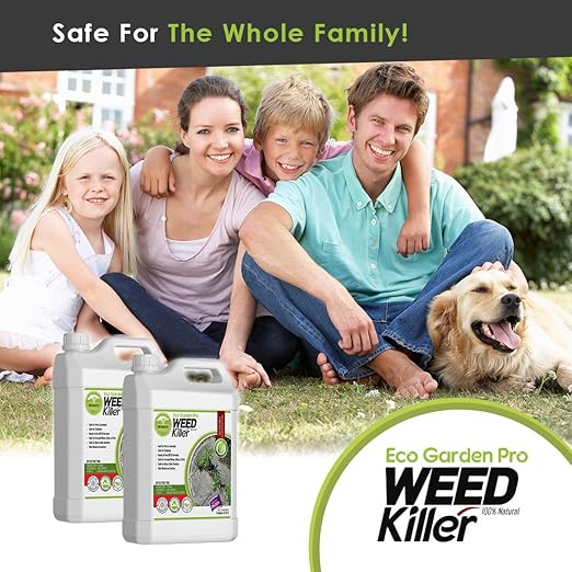 ECO Garden PRO - Organic Vinegar Weed Killer | Kid/Pet Safe | Clover Moss, Green Grass & Poison Ivy Killer for Lawns | Spray Ready Glyphosate Free Herbicide (1 Gallon)