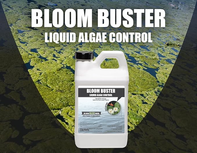 Bloom Buster Pond Algae Control - 64oz - Fast Acting Algaecide, Use in Fountains & Outdoor Ponds Containing Koi & Other Fish - EPA Registered