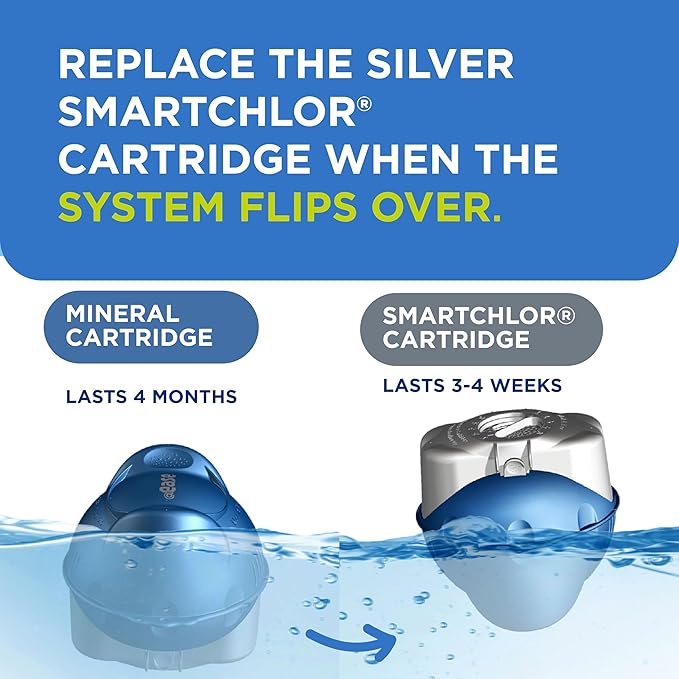 FROG @Ease Floating System and Pipe & Jet Cleanser for Swim Spas - Self-Regulating Swim Spa Sanitizer and Deep Clean Purge - Sanitizing Minerals & SmartChlor Technology - 4 Month Fresh Start Bundle