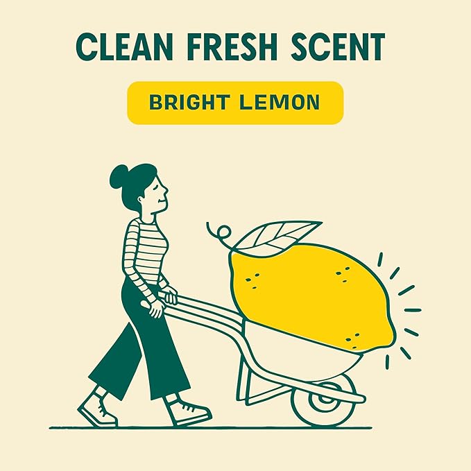 Aunt Fannie's All Purpose Household Cleaner, Multi-surface Spray, Powered by Vinegar for Kitchen, Bath, Windows and Countertops, Lemon Scent (Pack of 6)