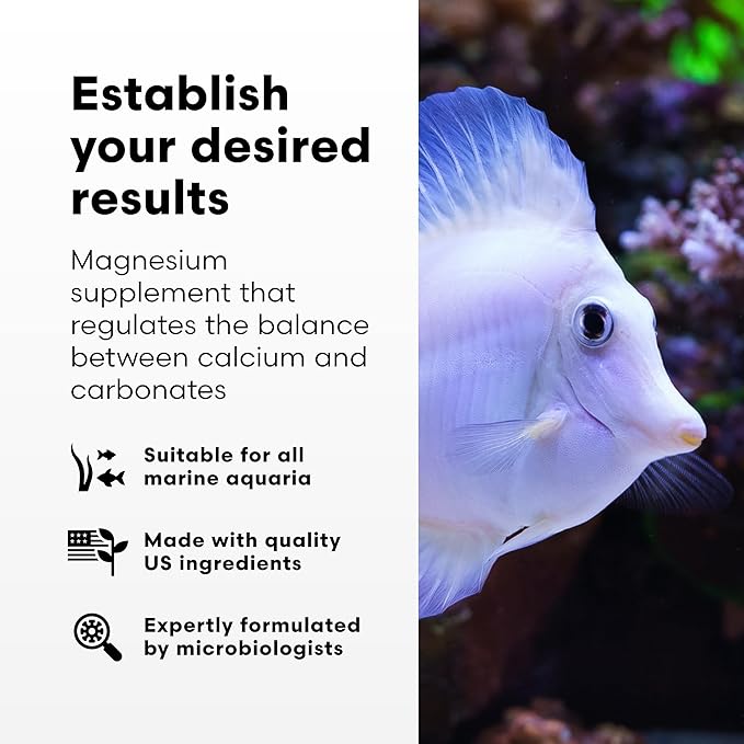 Brightwell Aquatics Magnesion Liquid Salt Water Conditioner - Concentrated Magnesium Supplement for Reef and Marine Aquariums, 33.8 fl oz
