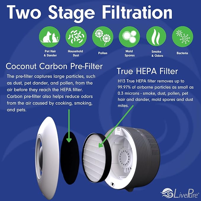 LivePure Capri Series True HEPA Tabletop Air Purifier, Graphite