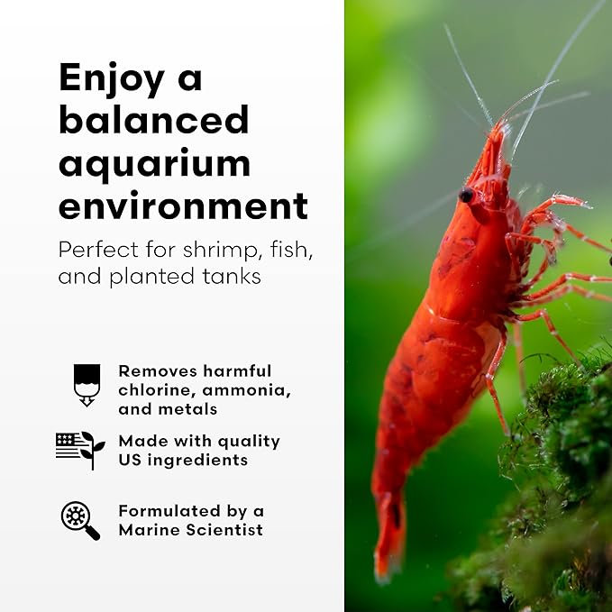 Brightwell Aquatics Shrimp Prep – Water Conditioner for Freshwater Shrimp & Aquariums – Removes Chlorine, Ammonia & Heavy Metals – Promotes Healthy Habitat, 125 ml