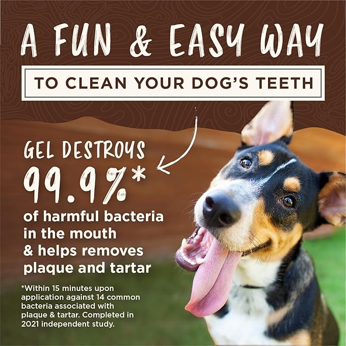 TropiClean Enticers Kong Dental Ball Kit for Large Dogs | Teeth Cleaning Gel | Smoked Beef Brisket Flavor | 1 oz.