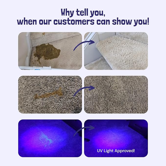 Sunny & Honey Pet Stain & Odor Miracle - Carpet Cleaner For New & Deep-set Messes - Enzyme Cleaner for Dog Urine & Cat Pee - Pet Stain Remover - Surface Odor Eliminator (128 fl oz, Light Lavender)
