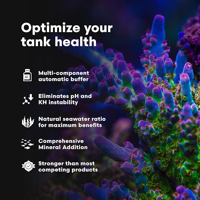 Brightwell Aquatics - Reef Code B - Balanced Calcium & Alkalinity System Water Conditioner - for All Saltwater Marine Fish & Reef Fish Tanks - Aquarium Water Treatments, 135.2 fl oz