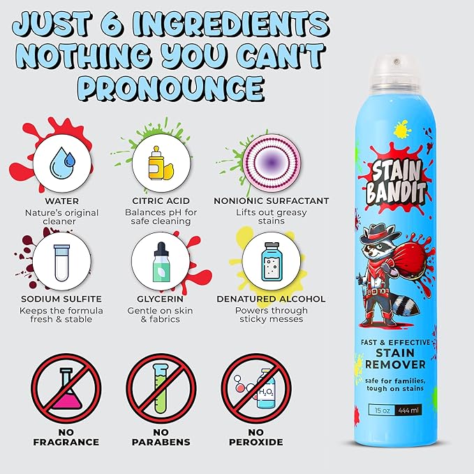 Stain Remover Spray - Non-Toxic, Family Safe Formula - Bag-On-Valve 360 Continuous Spray - Powerful Natural Cleaner for Clothes, Upholstery, Carpet, Car Seats & More - 15 oz (Pack of 2)