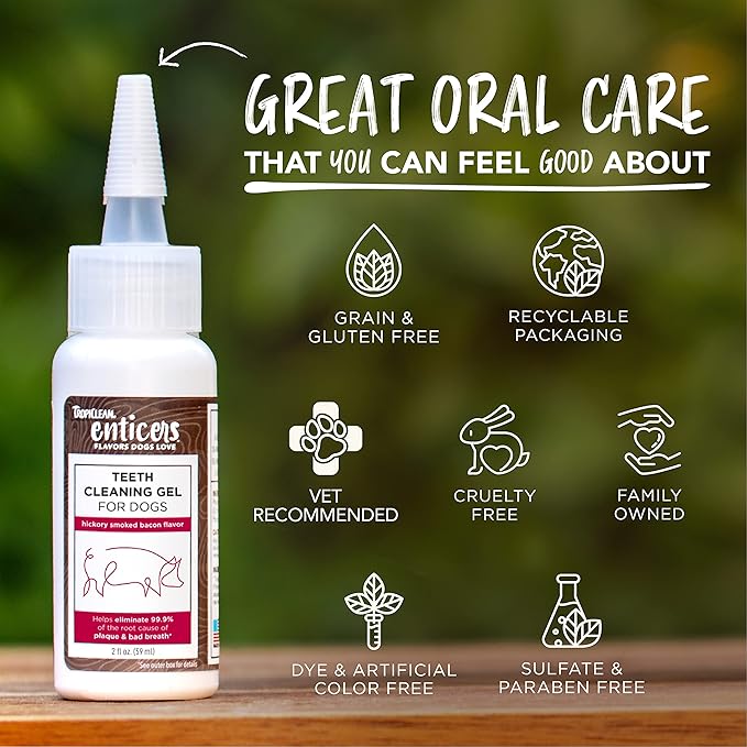 TropiClean Enticers Dog Teeth Cleaning Treat Gel | Smoked Bacon Flavored Dog Toothpaste Alternative| 2 oz