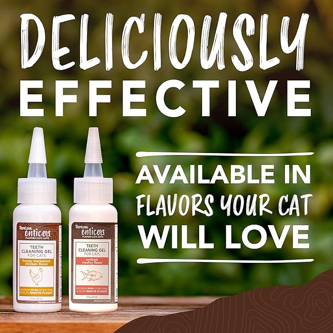 TropiClean Enticers Cat Teeth Cleaning Treat Gel | Honey Chicken Flavored Cat Toothpaste Alternative | 2 oz