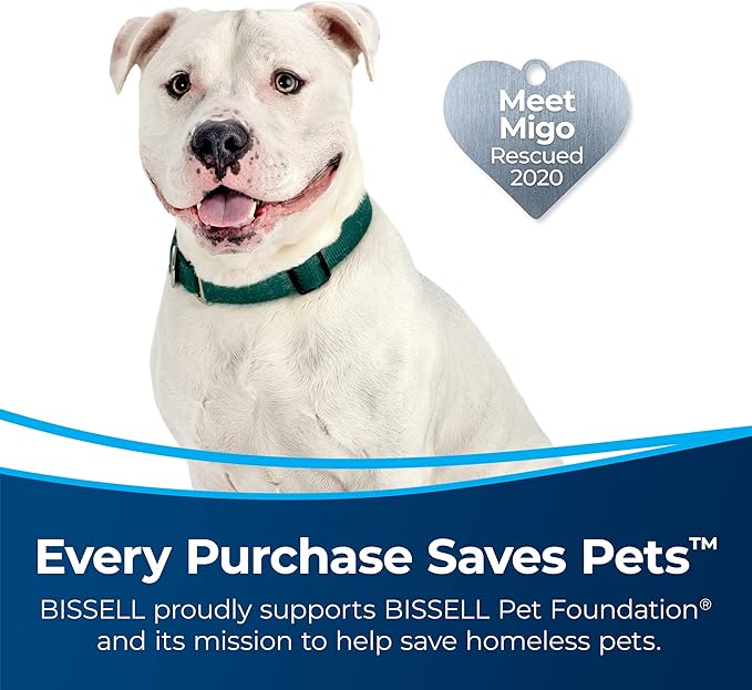 Bissell MultiClean Allergen Rewind Pet Vacuum with HEPA Filter Sealed System, Automatic Cord Rewind, Tangle-Free Brush Roll, & LED Headlights, 3402